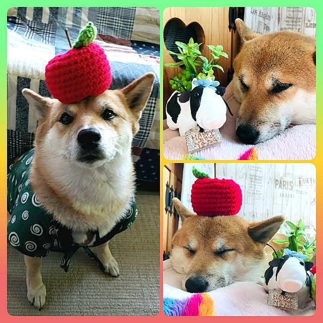 nanaさんの実例写真