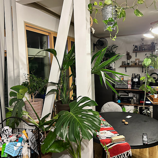 ywww69さんの部屋