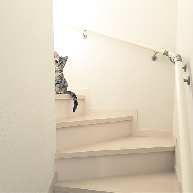 tajaboさんの実例写真