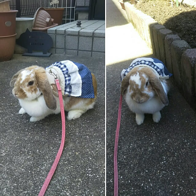 usamamaさんの実例写真