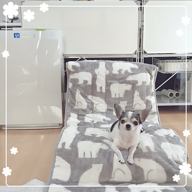 Emiさんの実例写真