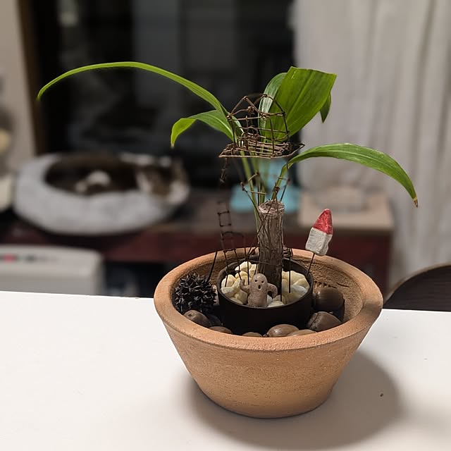 mori_6_12さんの部屋