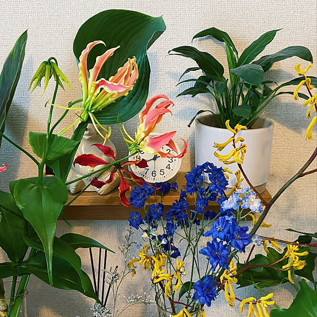 ebiさんの実例写真