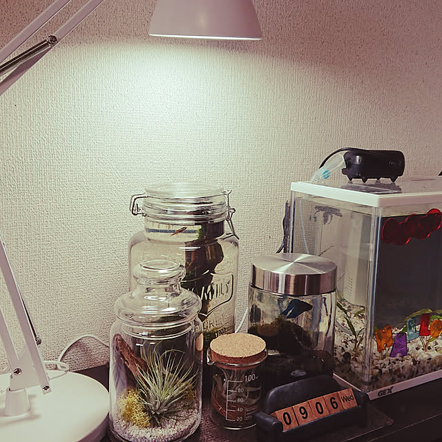 caffeineさんの実例写真