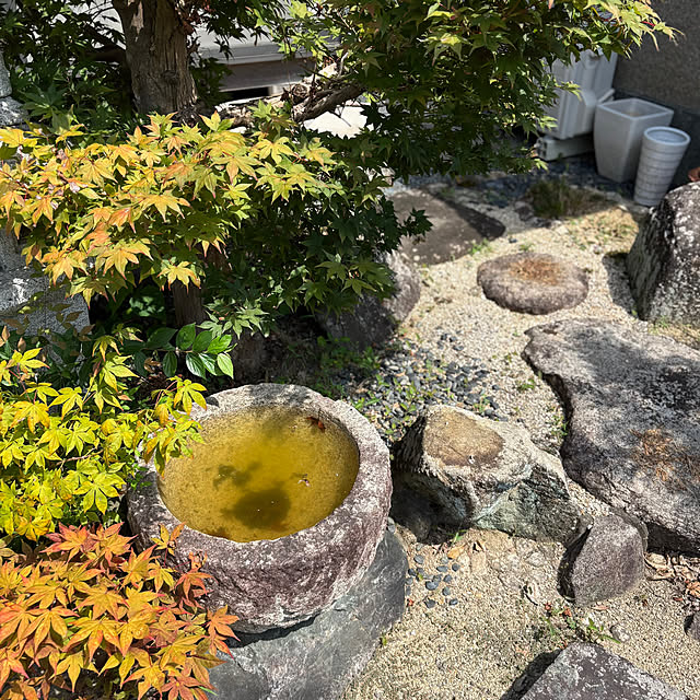 mmさんの部屋