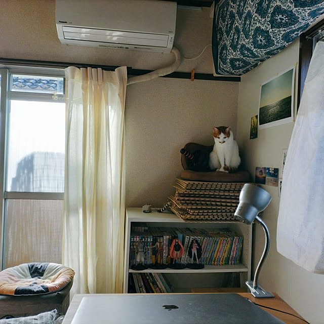 unkoさんの実例写真