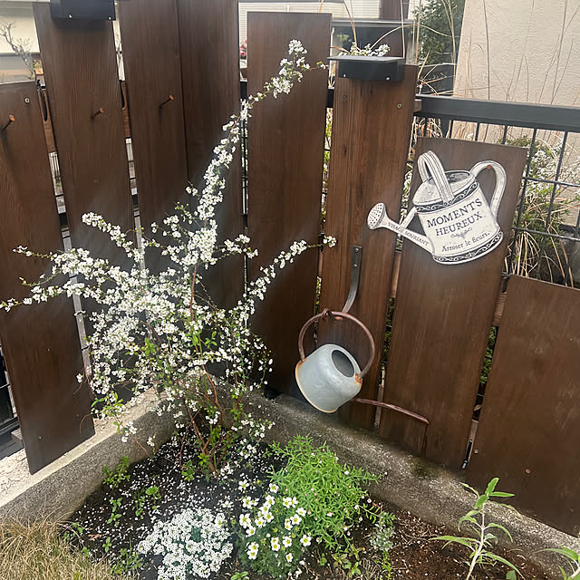 halu8686さんの実例写真