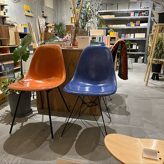 industrial/観葉植物/ミッドセンチュリーモダン/Eames/イームズ...などのインテリア実例 - 2022-01-29 21:16:42