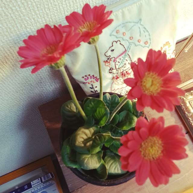 Ayakoさんの実例写真