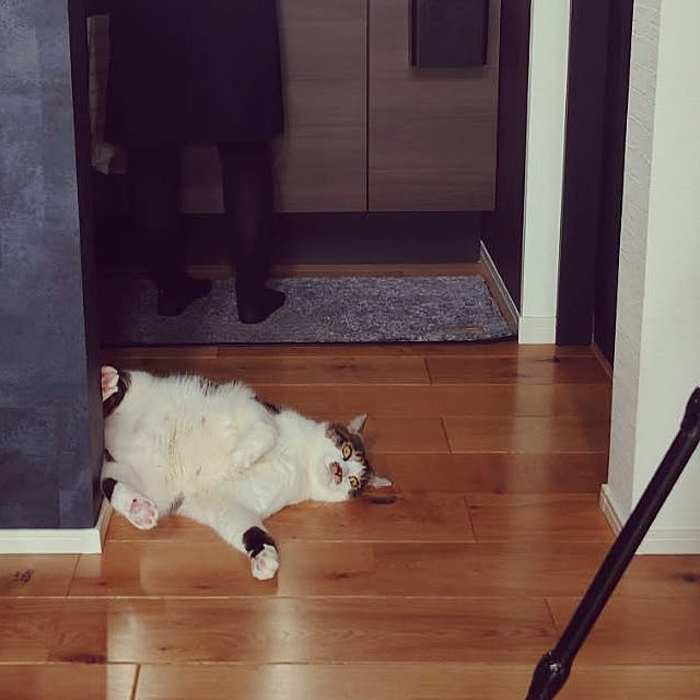 Natte_0429_1010さんの実例写真