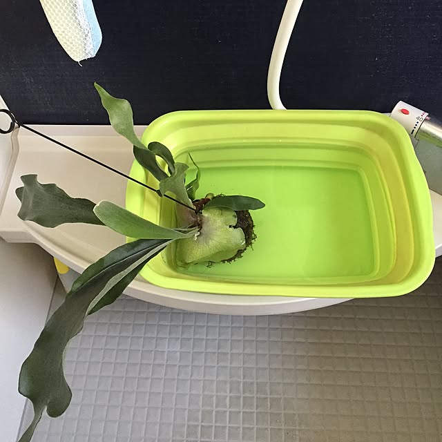 yuki0511さんの実例写真