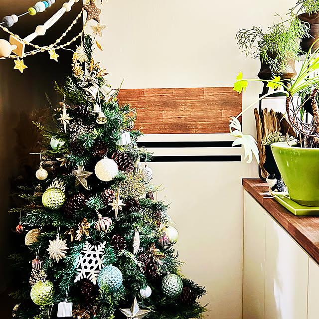 DAYONEさんの実例写真