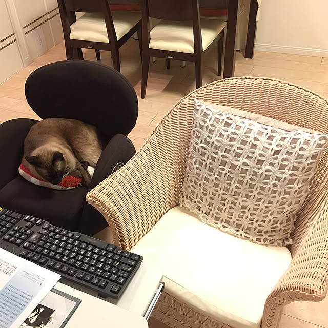 dodoさんの実例写真