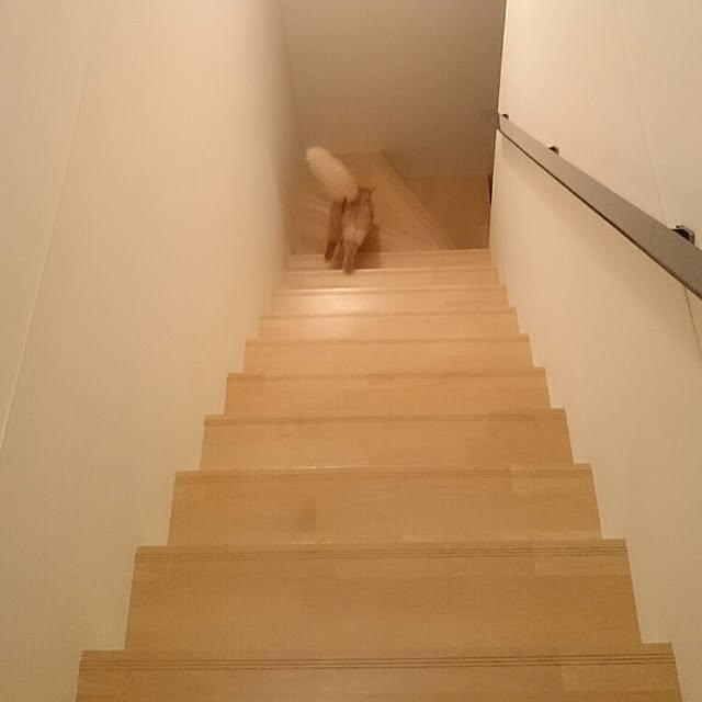 1ldksさんの実例写真
