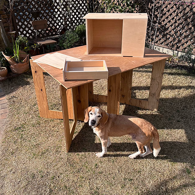 kuuさんの実例写真