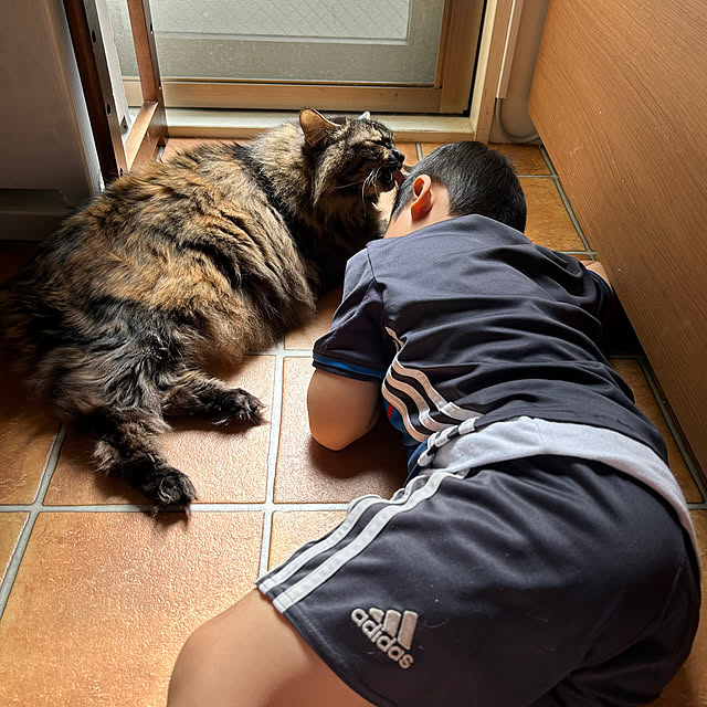 mikomaruさんの実例写真