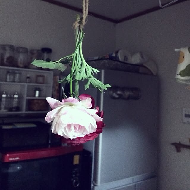 Shihoさんの実例写真