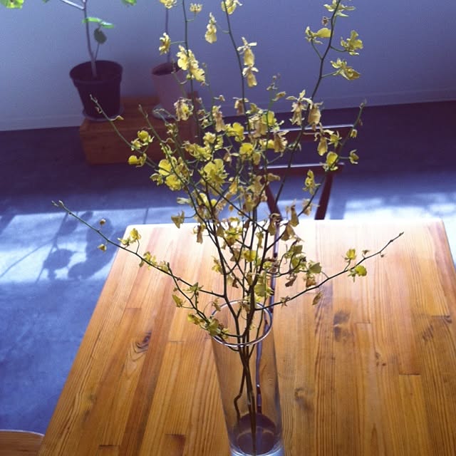 hamakajiさんの実例写真