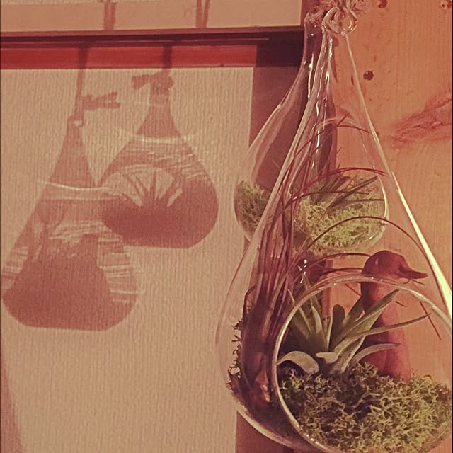 NAKAMURAさんの実例写真