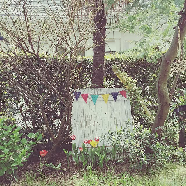 echisak3さんの実例写真