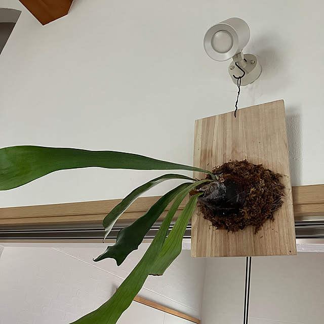 wahahaさんの部屋