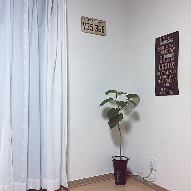 cloverさんの実例写真