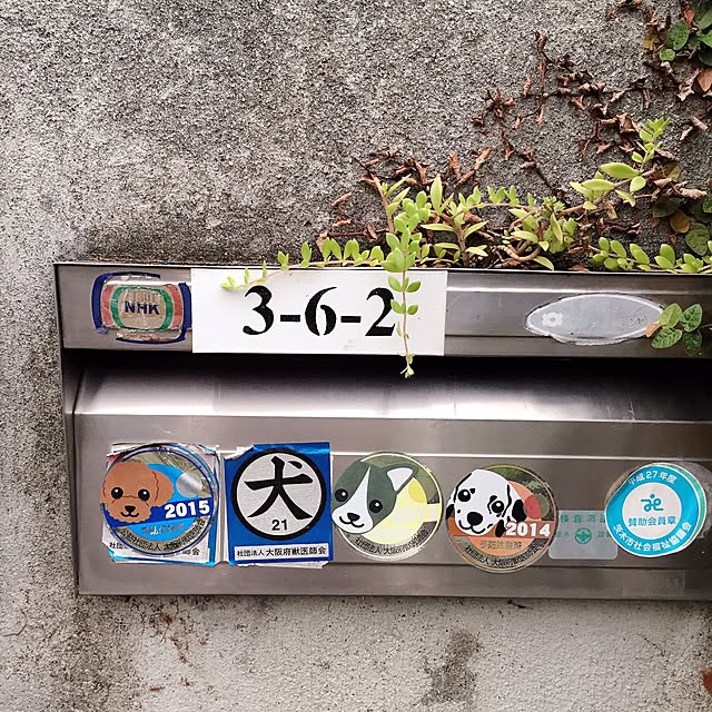 moririnさんの実例写真