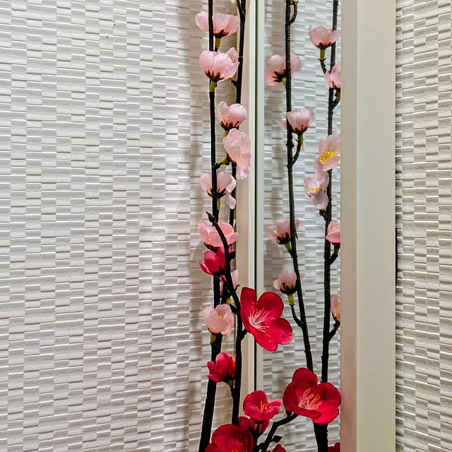 mi-saさんの部屋