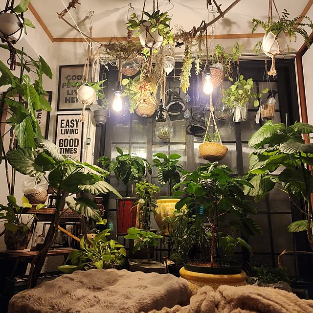 CYNOSさんの実例写真