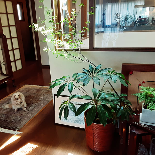 lunalunaさんの実例写真