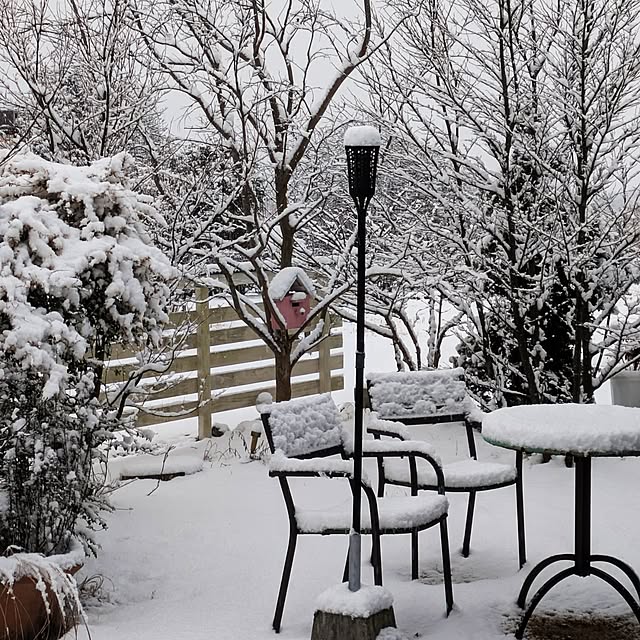 prepreさんの実例写真