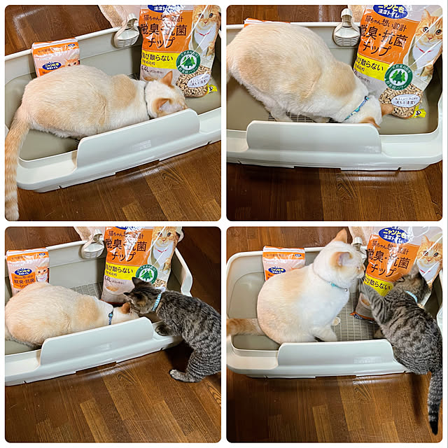 mohhaさんの実例写真