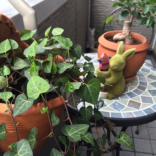 amiさんの実例写真