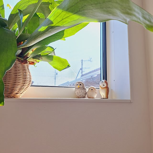 otokiさんの部屋