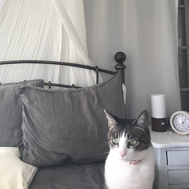 Shihoさんの実例写真