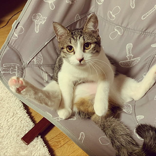 rioさんの実例写真