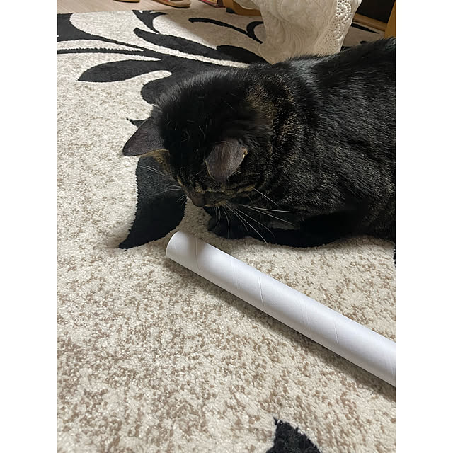 momocchiさんの部屋