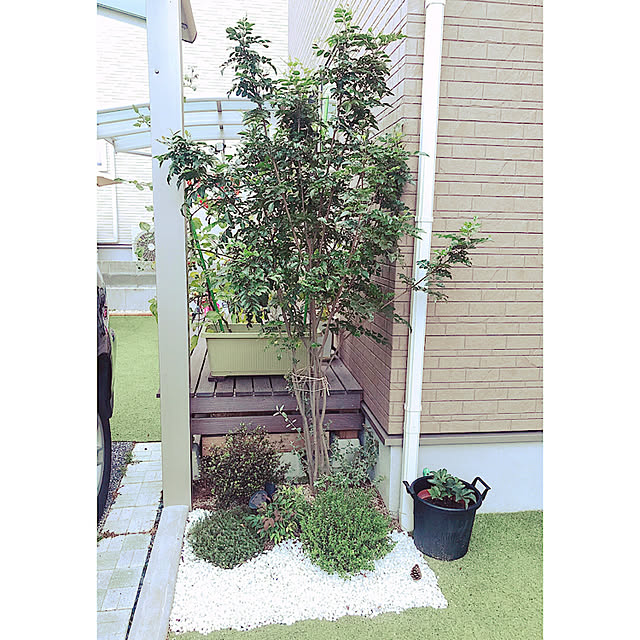 no_bueaさんの実例写真