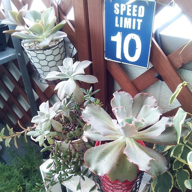 VERANDARJUNさんの実例写真