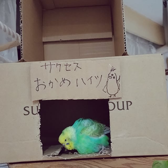 toratanさんの部屋