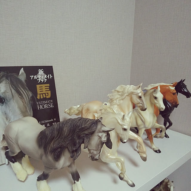 93pontaさんの実例写真