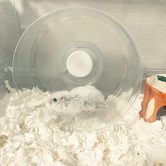 ha_koさんの部屋