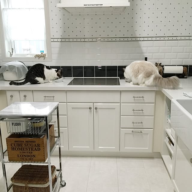 yuchiさんの実例写真