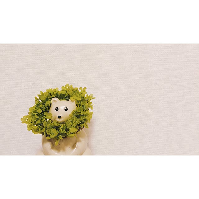 ____rii__さんの実例写真