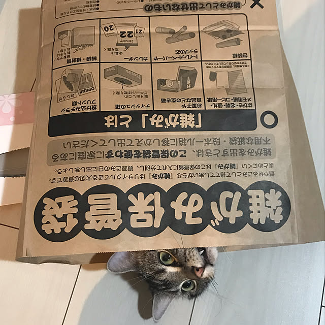 KotarouKunさんの実例写真