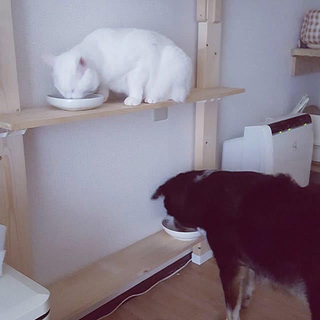 kumaさんの実例写真