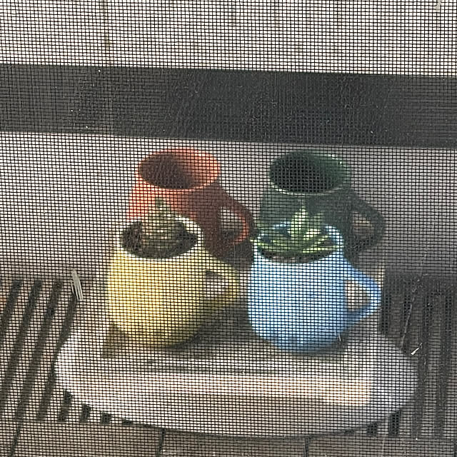 kikiさんの部屋