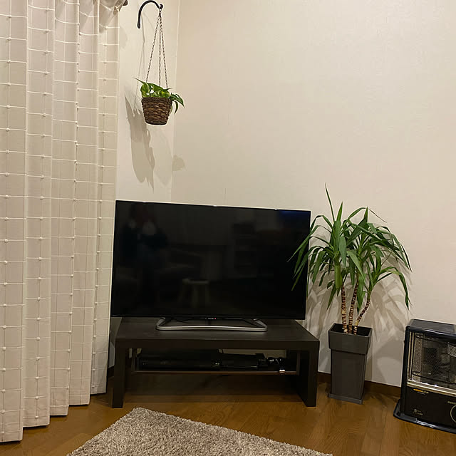 CASSISさんの実例写真