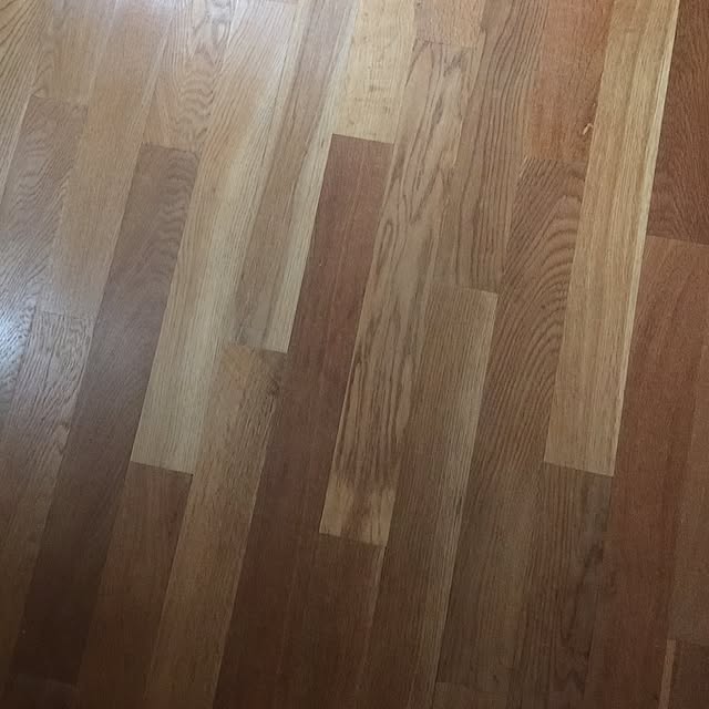 Kiyoshiさんの実例写真