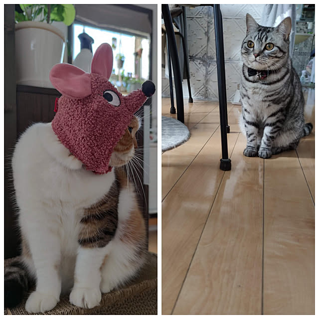 hiro3さんの実例写真